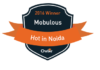 Top Mobile Developers Noida Mobulous