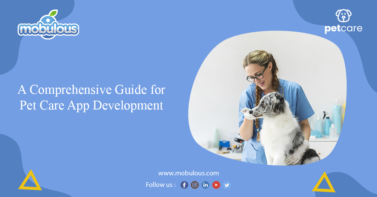 Guide for Pet Care App Development