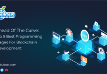 Best Programming Languages For Blockchain App Development