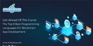 Best Programming Languages For Blockchain App Development