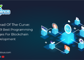 Best Programming Languages For Blockchain App Development