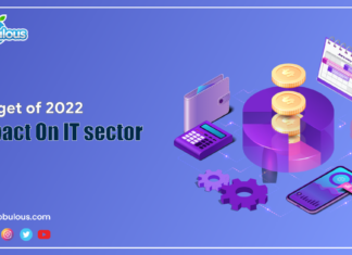 Budget 2022 Impact on IT sector