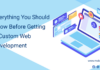 Everything You Should Know Before Getting A Custom Web Development