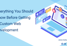 Everything You Should Know Before Getting A Custom Web Development