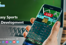 Fantasy sports app development