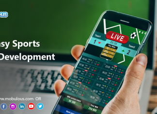 Fantasy sports app development