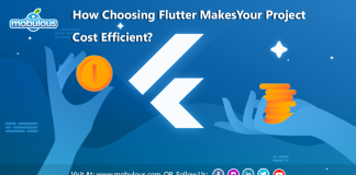 Flutter Makes Your Project Cost Efficient