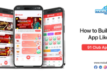 How to Build an App Like 91 Club App