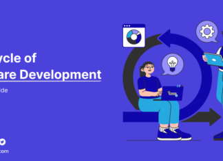 Software Development Life Cycle