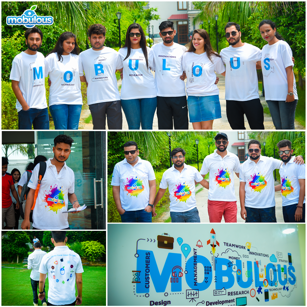 Mobulous Team