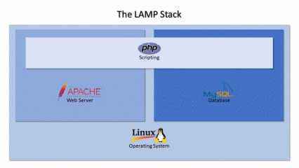 The Right Stack for your Product - Mobulous