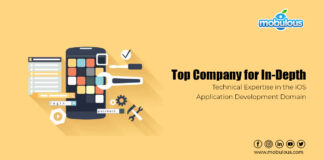 Top Company for In-Depth Technical Expertise in the iOS Application Development Domain