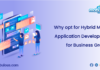 Hybrid Mobile Application Development