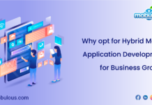 Hybrid Mobile Application Development