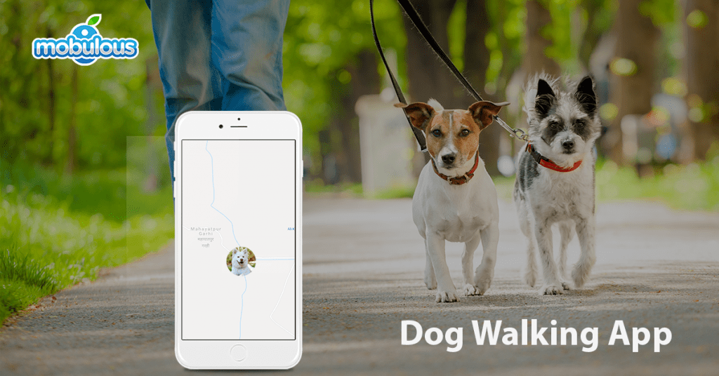 Musthave features that you need to include on Dog Walking Apps