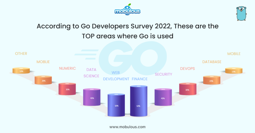 go developers survey 2022 top areas go used
