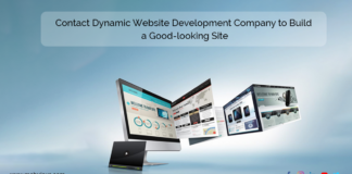 Contact Dynamic Website Development Company to Build a Good-looking Site