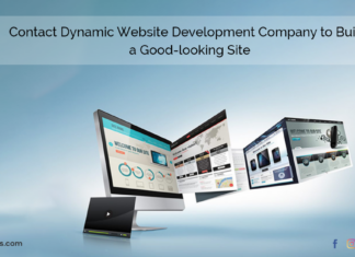 Contact Dynamic Website Development Company to Build a Good-looking Site