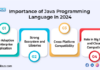 Importance of Java Programming Language