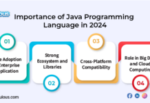 Importance of Java Programming Language