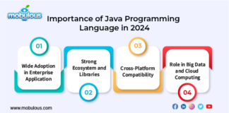 Importance of Java Programming Language