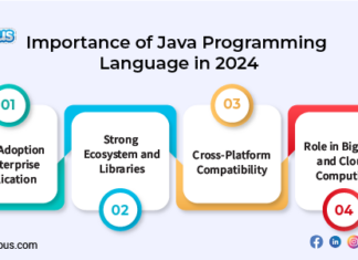 Importance of Java Programming Language