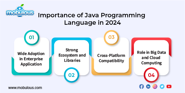 Importance of Java Programming Language