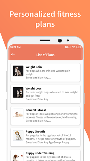 personalized fitness plans